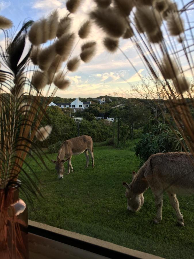 Soutelande Country Stay - Close To 1#Beach In Pe Port Elizabeth Extérieur photo