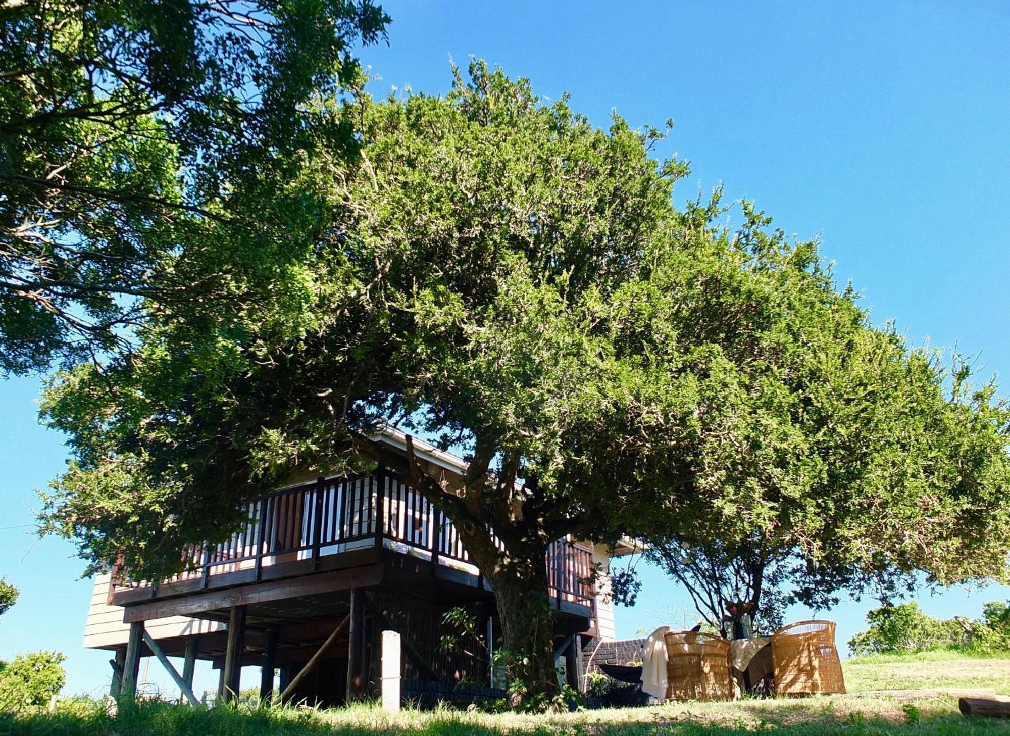 Soutelande Country Stay - Close To 1#Beach In Pe Port Elizabeth Extérieur photo